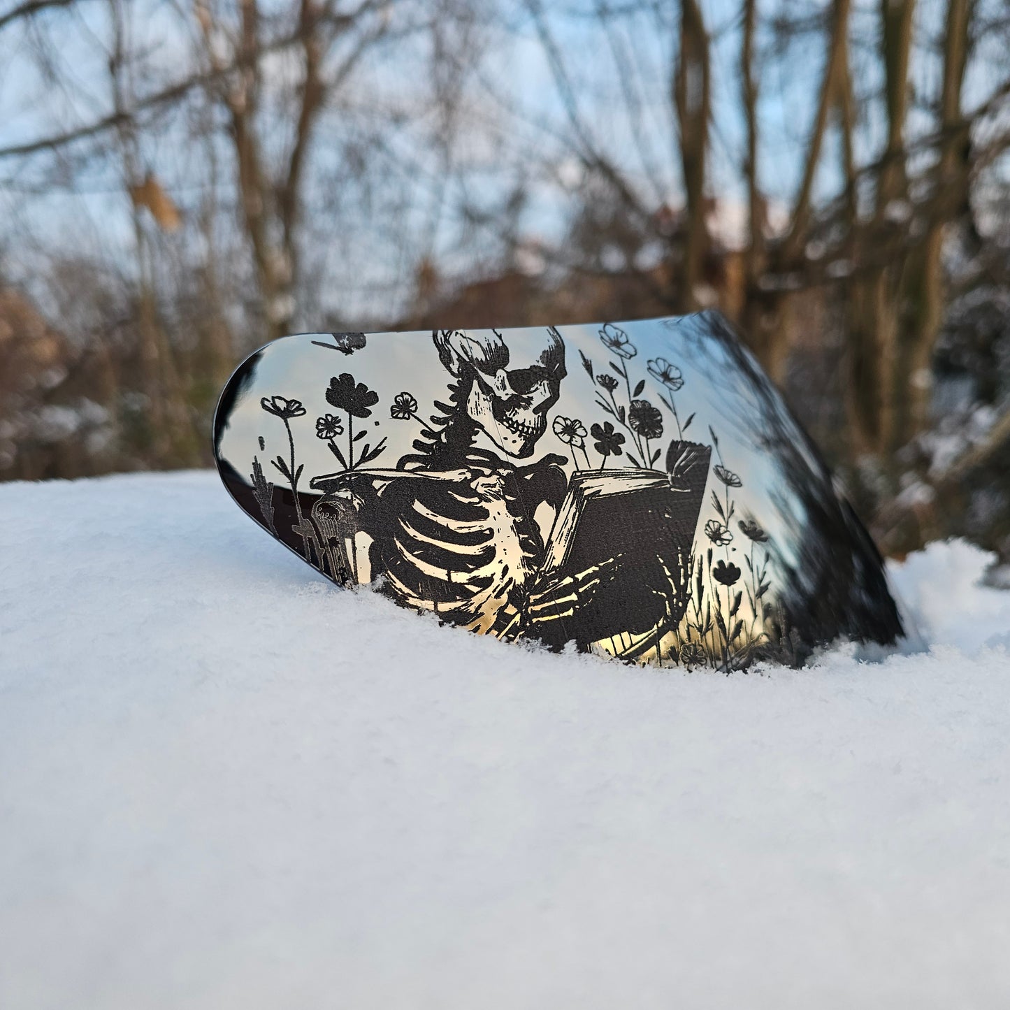 Skeleton x Cathedral Visor